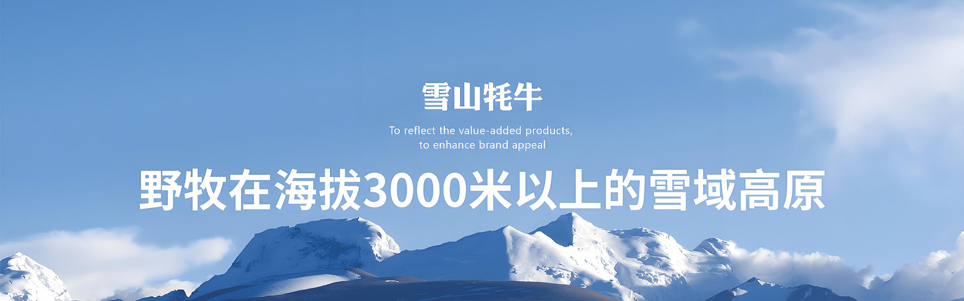 项目案例